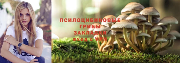 ГАЛЛЮЦИНОГЕННЫЕ ГРИБЫ Верхнеуральск
