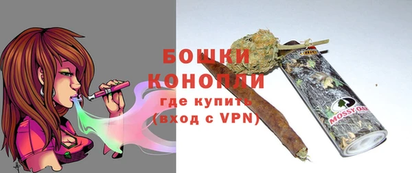 крисы Верея