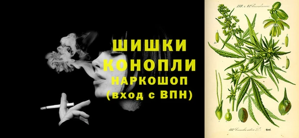 крисы Верея