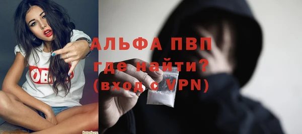 гидра Рославль