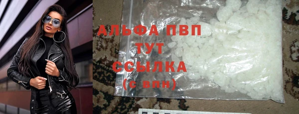 крисы Верея