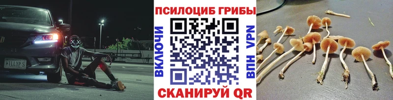 Галлюциногенные грибы прущие грибы  Новоржев 